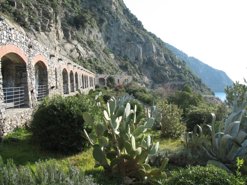 VIA DELL' AMORE